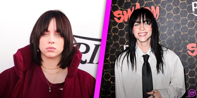 Billie Eilish Age, Bio & Life Story – How the Young Star Took Over the World