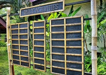 Best Things to Do in Solihull: Top Things to Do, Activities, and Hidden Gems