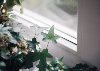 10 Essentials for Building a Tranquil Retreat Space