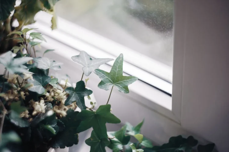 10 Essentials for Building a Tranquil Retreat Space