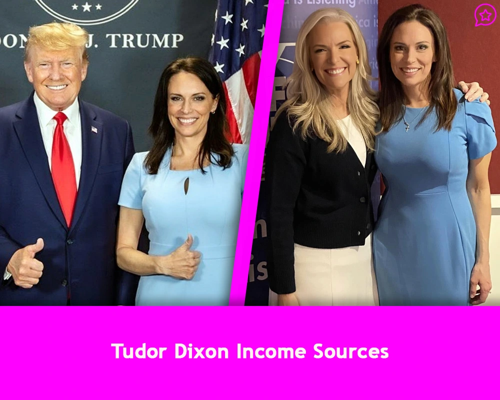 Tudor Dixon Income Sources