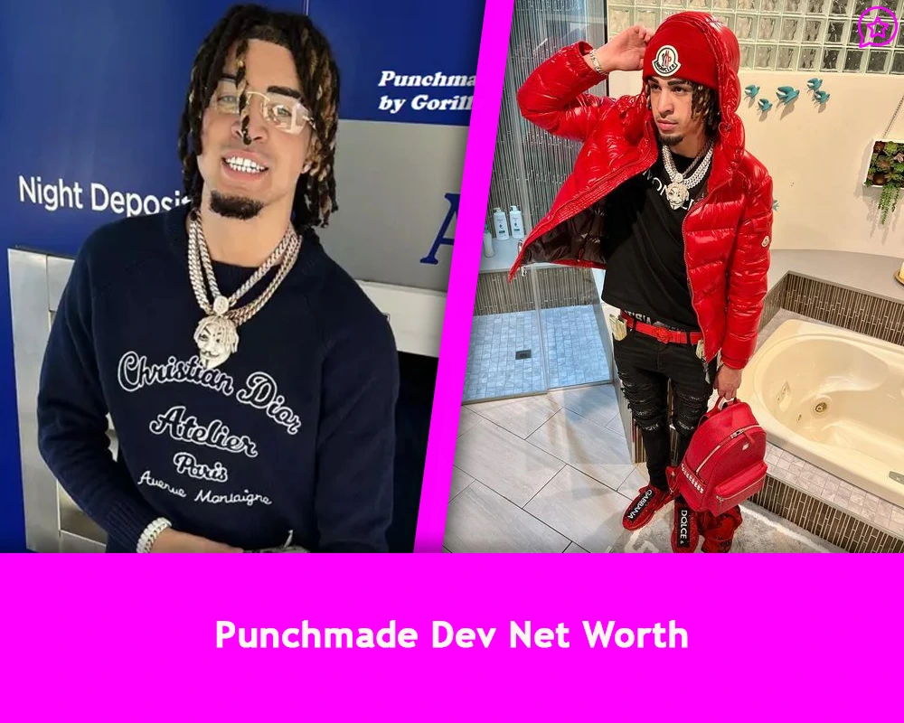 Punchmade Dev Net Worth
