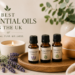 The Wellness Trend Everyone’s Talking About: Essential Oils Are Becoming a Daily Lifestyle Staple