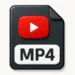 youtube video converter mp4